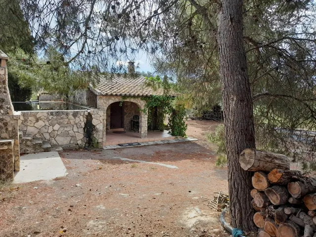 OPORTUNIDAD FINCA RUSTICA DE REGADIO CON CASA DE CAMPO EQUIPADA EN ASCO — 7