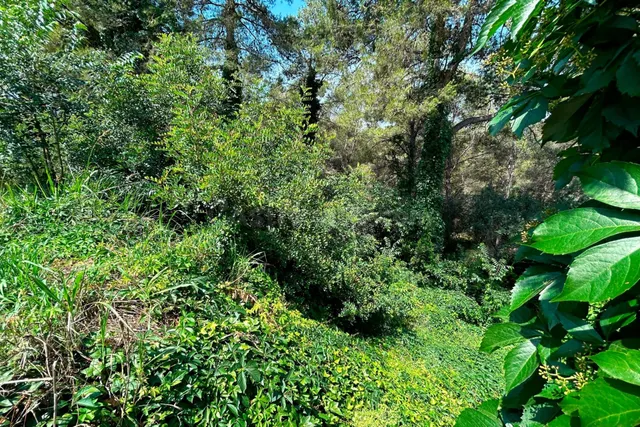 PARCELA EN VENTA EN EL VEDAT - foto 5