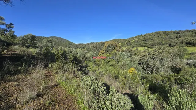 CHALET EN VENTA EN EL PUERTO CALATRAVEÑO — 20