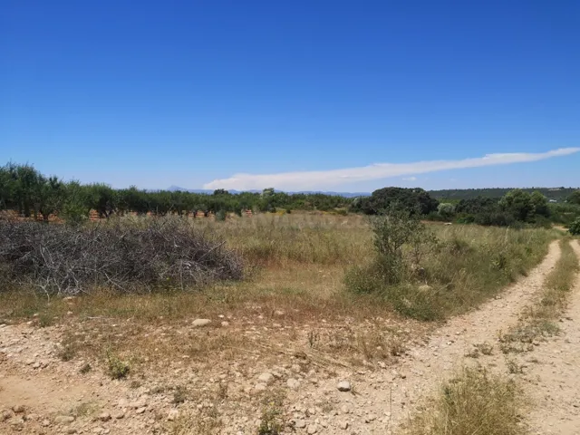 FINCA RUSTICA SECANO