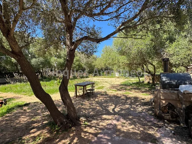 C-7048 GRAN FINCA EN CIUTADELLA — 9