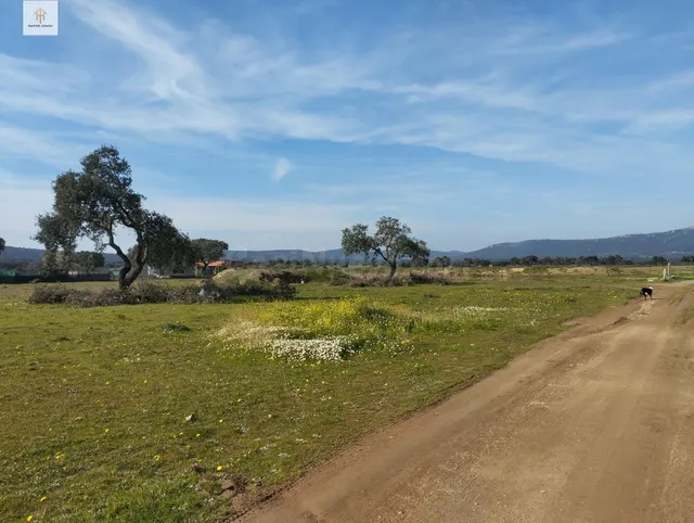 SE VENDE TERRENO en Ctra. Badajoz en Paraje Ramogil - foto 3
