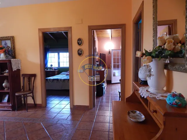 OPORTUNIDAD AMPLIO CHALET CON PISCINA MUY PRÓXIMO A LA POBLACION DE ONTINYENT — 31