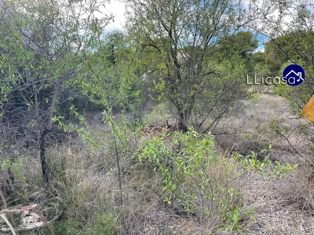 Parcela en venta - EL PINAR - foto 4