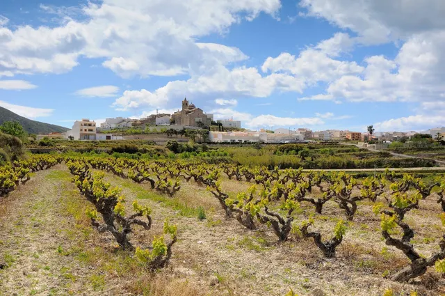 Villa de lujo de 3 dormitorios en venta en Residencial Cumbre del Sol, Costa Blanca. — 16