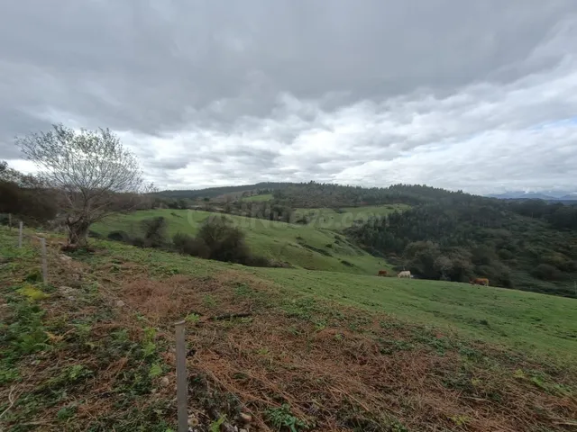 MÁS DE 5 Ha. DE NATURALEZA EN RUILOBA.- - foto 4