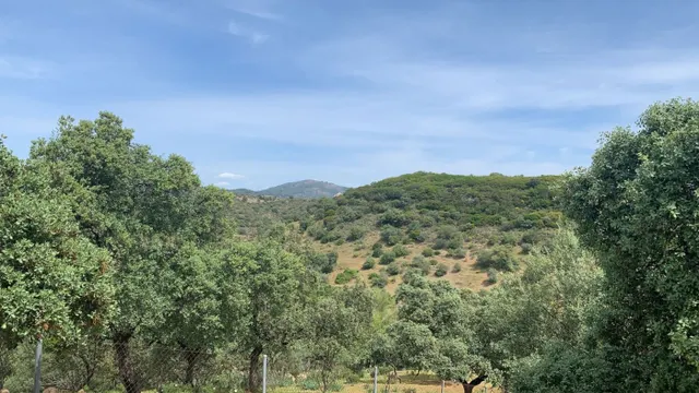 Terreno urbano en venta - Calasancio — 14