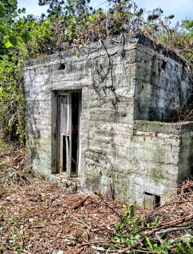 ¿Buscas un rincón con alma en Icod de los Vinos donde constr - foto 2