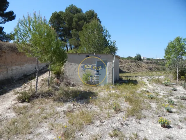 TERRENO EN PRODUCCIÓN CON PEQUEÑA CONSTRUCCIÓN EN PALOMAR(VALENCIA) — 8