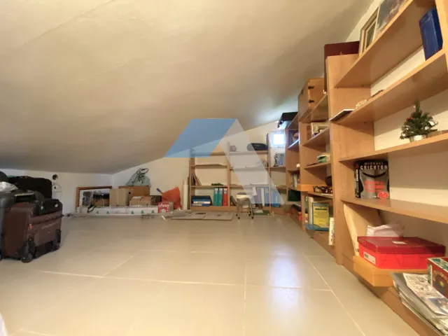 Chalet independiente con piscina en gran parcela rústica, rodeado de pinos y olivos – A menos de 1 km del Polideportivo Municipal de San Vicente del Raspeig — 40