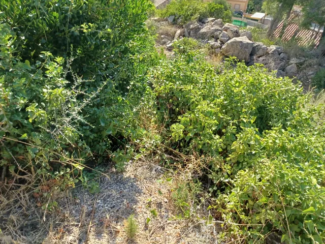CASTELLET I LA GORNAL PARCELA DE 573 M2. EN VENTA — 3