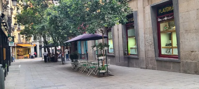 VENTA DE LA NUDA PROPIEDAD EN EL CENTRO DE MADRID — 14