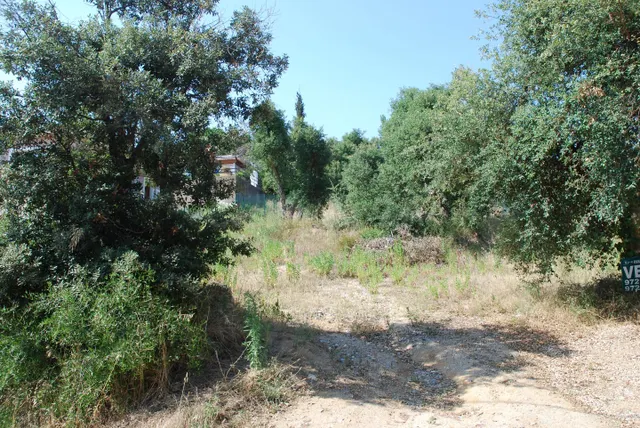 Parcela en venta - Calonge - Mas Pere - foto 2