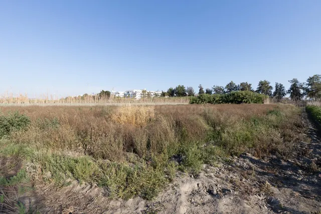 Invierte en el futuro de Playa Granada: una oportunidad únic - foto 5