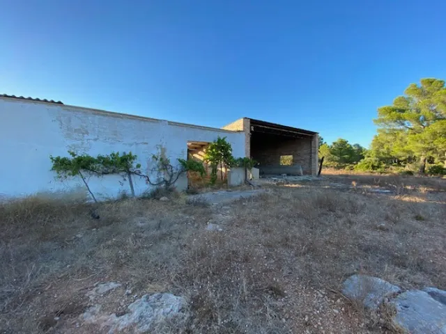 Fantástica finca a 1,5 km del mar en l'Ampolla — 10