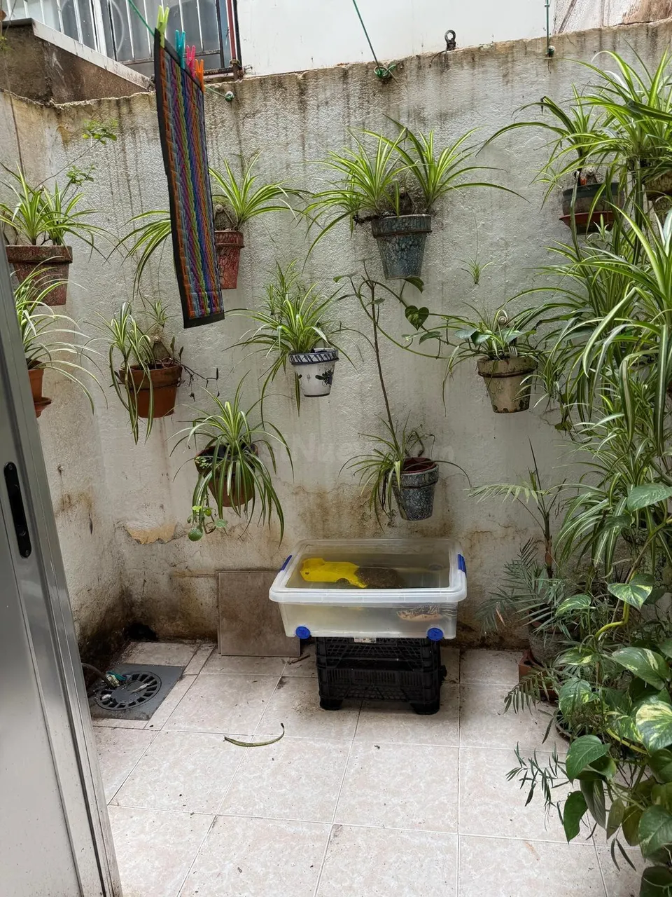 Planta baja 3 habitaciones 65m² en venta - Norte - Universidad