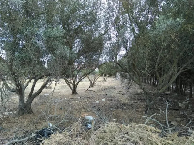 MAGNIFICA PARCELA EN PUERTO REAL EN CASINES — 5