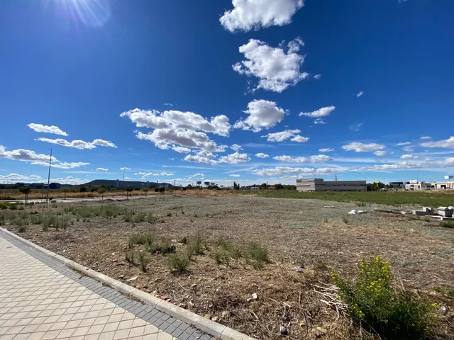 ALQUILER de Suelo Terciario-Comercial en la ZONA EL OLIVAR — 6