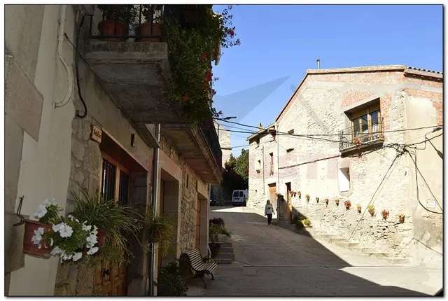 CASA DE PIEDRA ESQUINERA DE 257 M2 PRCTICAMNTE REFORMADA DE PIEDRA, 3 DORMITORIOS SUITES. — 46