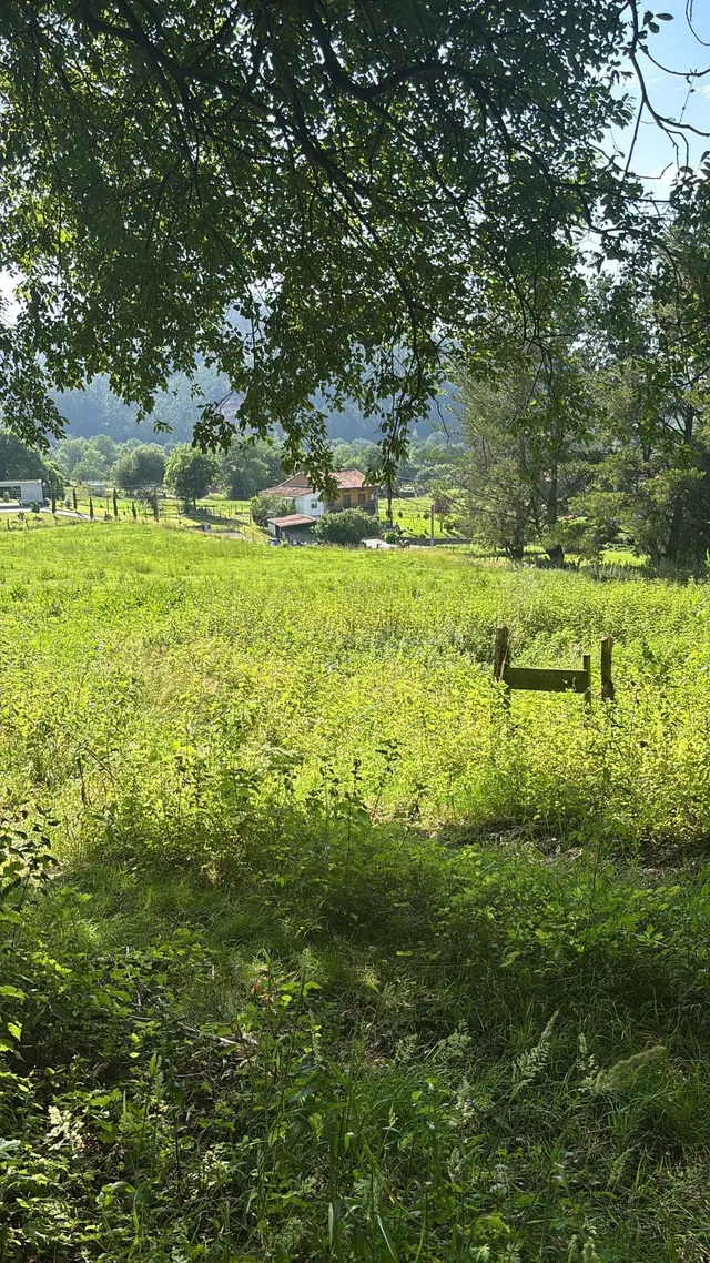 Terreno rustico con posibilidad de construir - foto 5