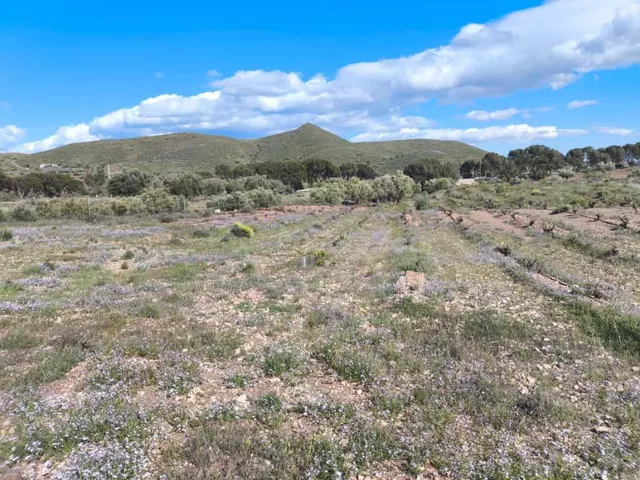Terreno Rural en Venta en Alboloduy - foto 5