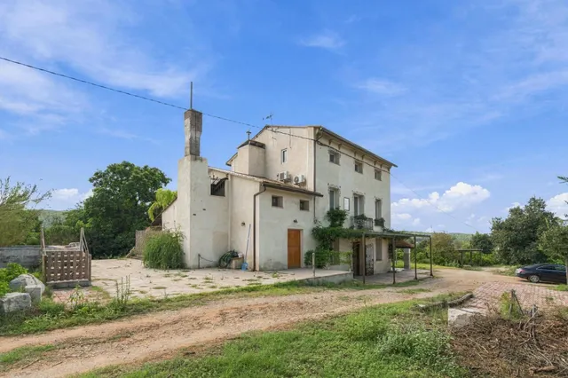 Finca rústica con vivienda reformada, piscina y cultivo ecólógico — 36