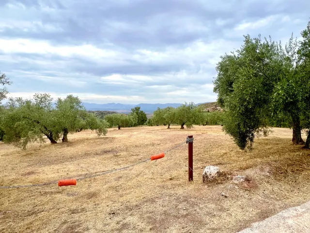 NIVAR - FINCA DE OLIVOS — 9