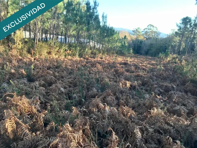 Terreno edificable en A Toxeira - foto 2