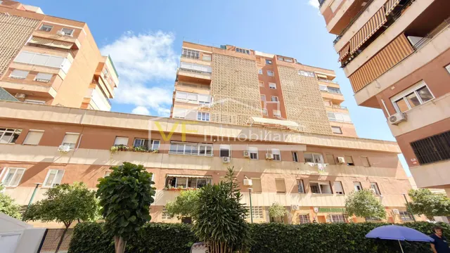 ¡Invierte donde Málaga sigue creciendo! — 31
