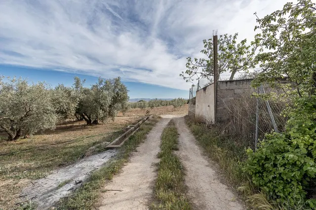 MAGNÍFICA PARCELA CERCANA A CTRA. DE URB. EL TORREÓN - foto 2
