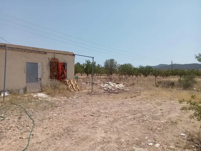 Campo en monovar — 7