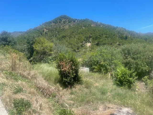 Parcela en venta - Centro — 3