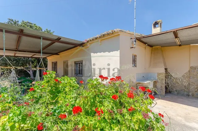 Ref. 04370.- Finca agrícola de 31.000 m2 con explotación de  - foto 5