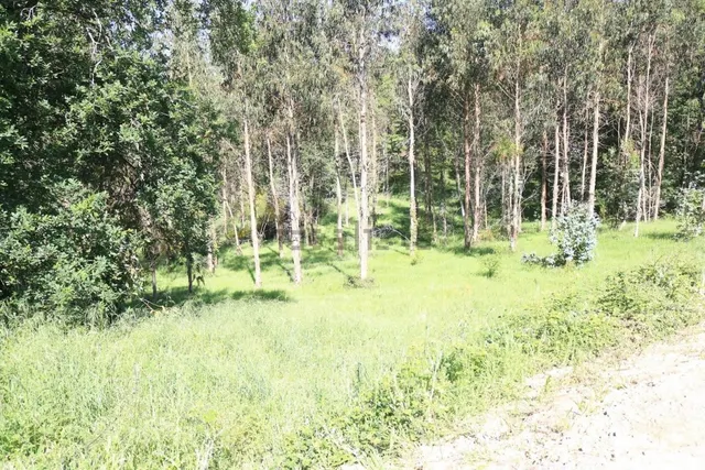 PARCELA EDIFICABLE EN VEDRA — 10