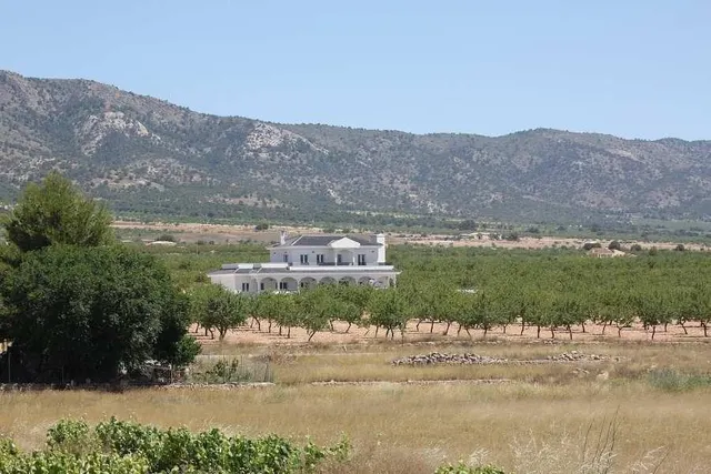 VILLAS DE OBRA NUEVA EN PINOSO — 15