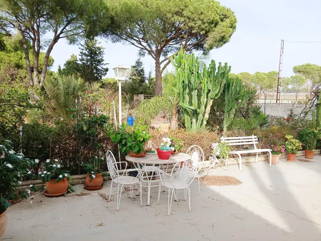 FINCA CON VIVIENDA EN BONARES (HUELVA) — 13