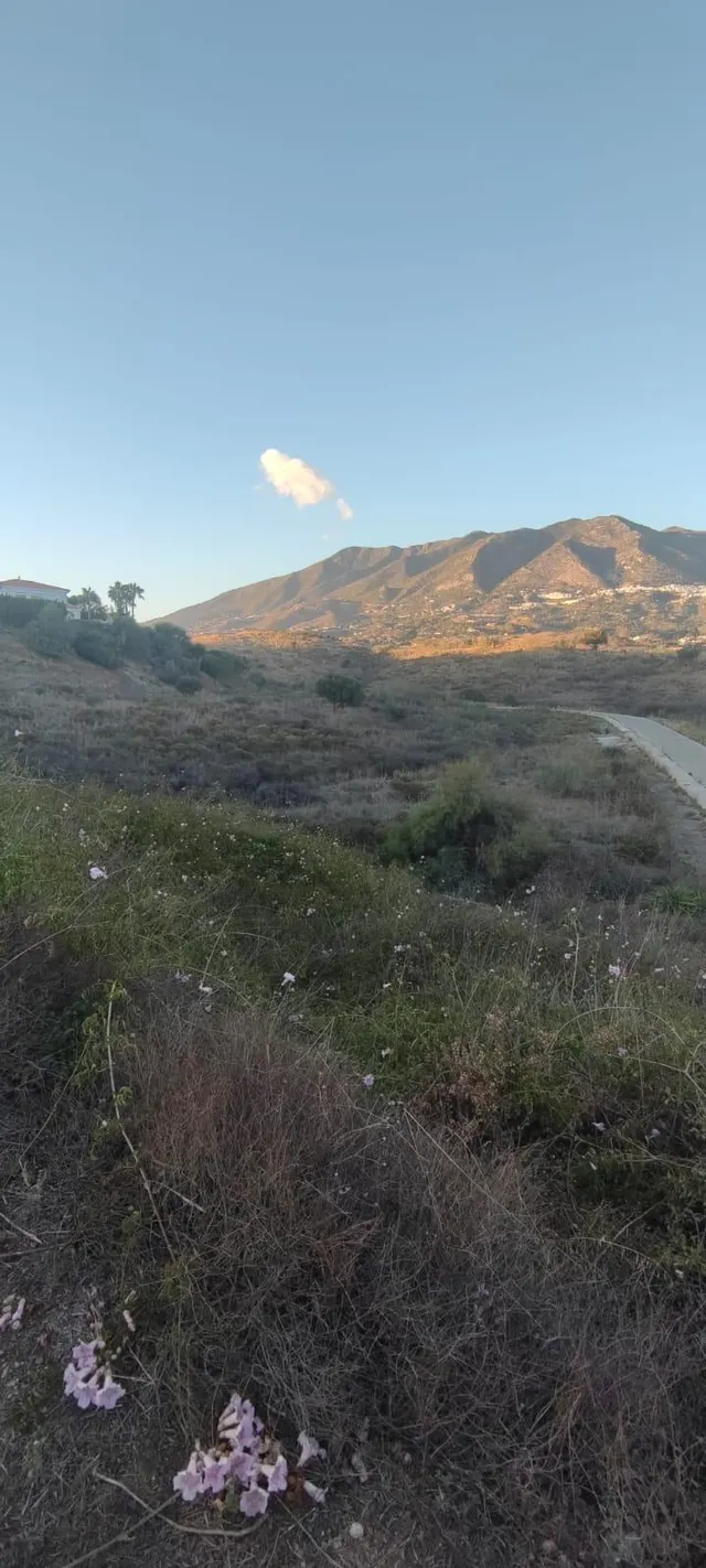 TERRENO EN ALQUILER DE CONCESIÓN DEPORTIVA EN MIJAS — 4