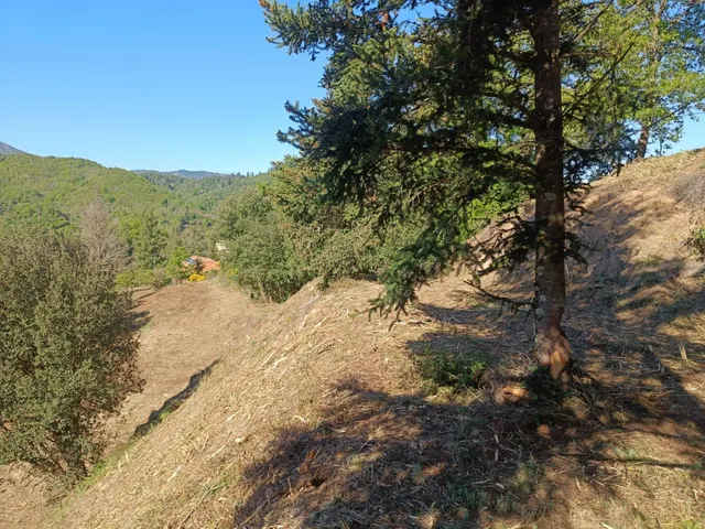 SOLAR URBÀ EN VENDA - PER A FER CASA 4 VENTS - ESPINELVES — 12