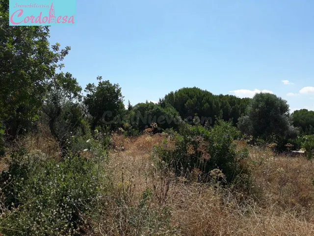 PARCELA EN LA MEJOR ZONA DE LA CARRERA EL CABALLO — 4