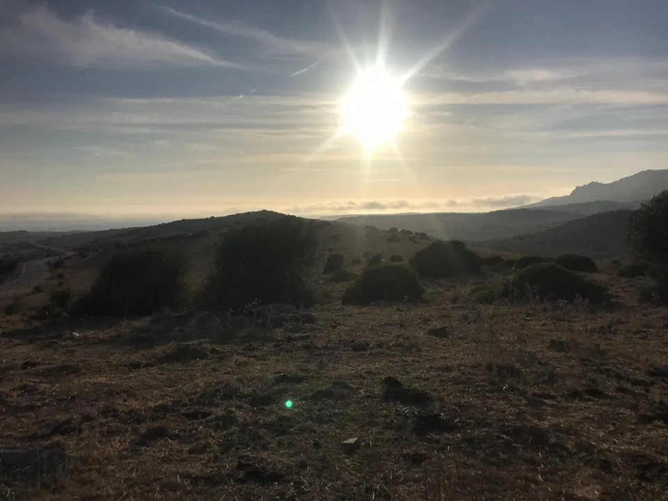 Se vende parcela en Bolonia