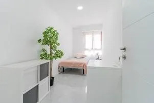Co-Living  - Ideal Inversionistas — 15