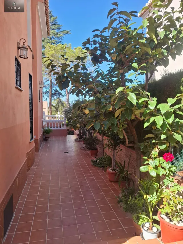Fantástico chalet en villa argaz, junto al cc serrallo plaza — 23