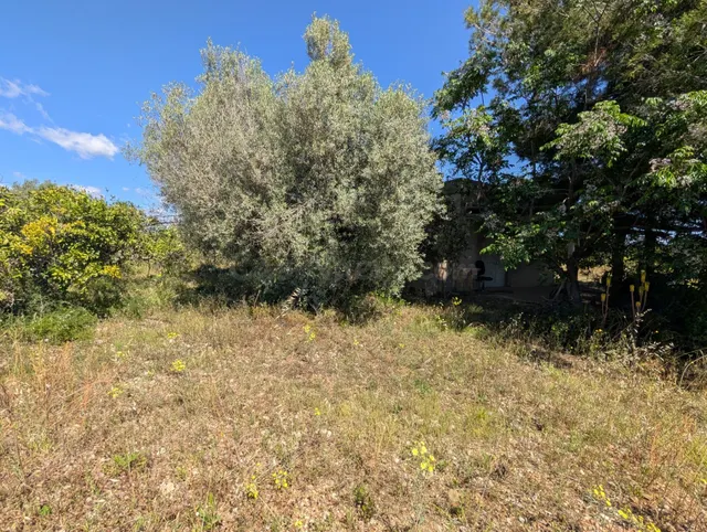 Finca de Ensueño con Casa de Campo a Pocos Kilómetros del Ma - foto 5
