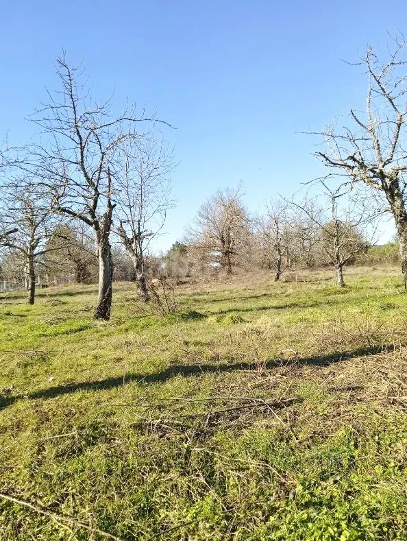 SE VENDE SOLAR EN CABAÑAS RARAS - foto 3