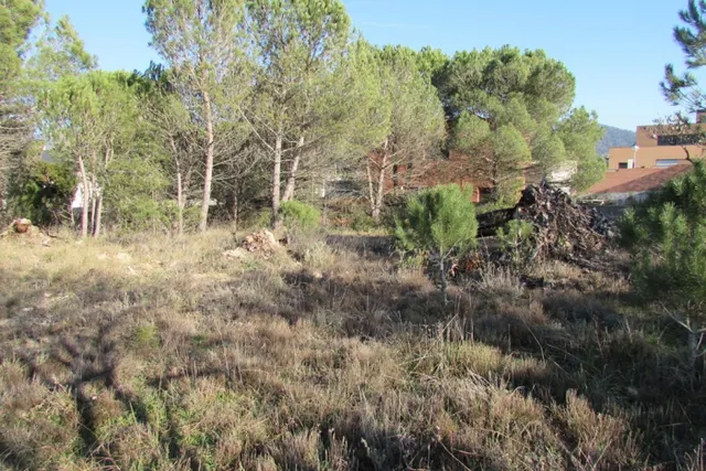 PARCEL.LA EN VENDA EL XARÓ — 9