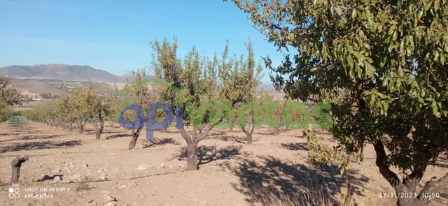 Terreno-parcela en Purias — 12