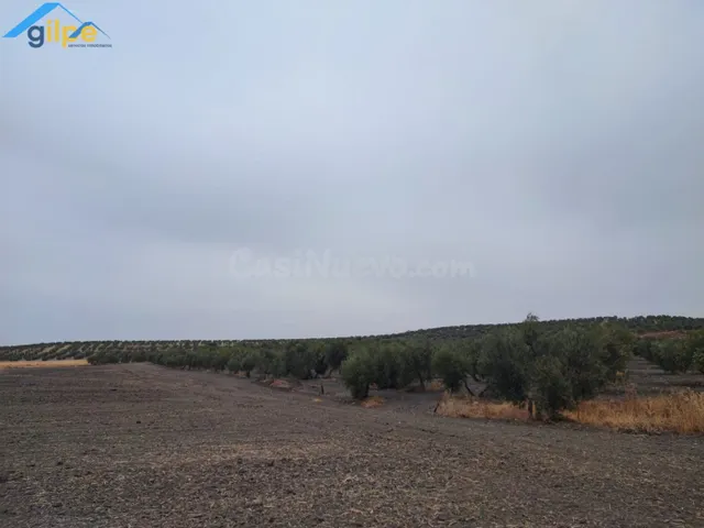 GRAN PARCELA RUSTICA CERCA DE PARADAS Y CERCA DE LA AUTOVIA  - foto 5