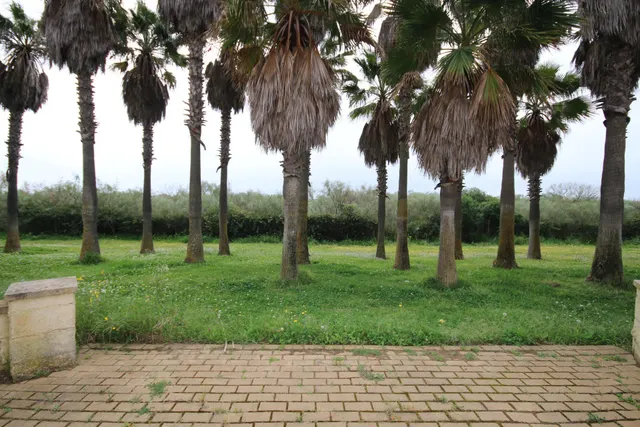 Piso en venta en Avenida de la Mojarra Punta del Moral — 6