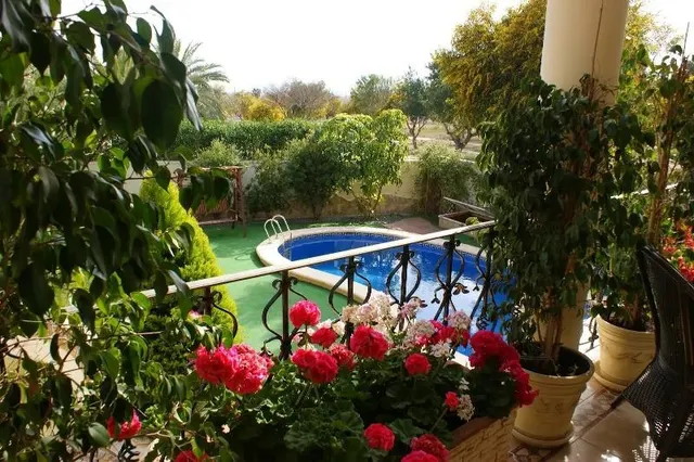 Villa de Lujo independiente, 5 dormitorios, 4 baños, piscina, jardines, gran parcela, en Ciudad Quesada — 38