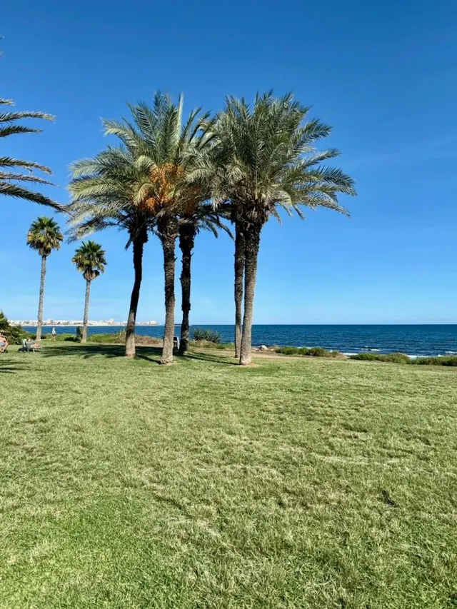 Apartamento 2 habitaciones 50m² en venta - Eliseos playa — 18